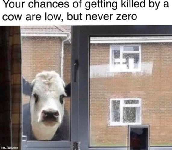 Death by cow | image tagged in death by cow | made w/ Imgflip meme maker