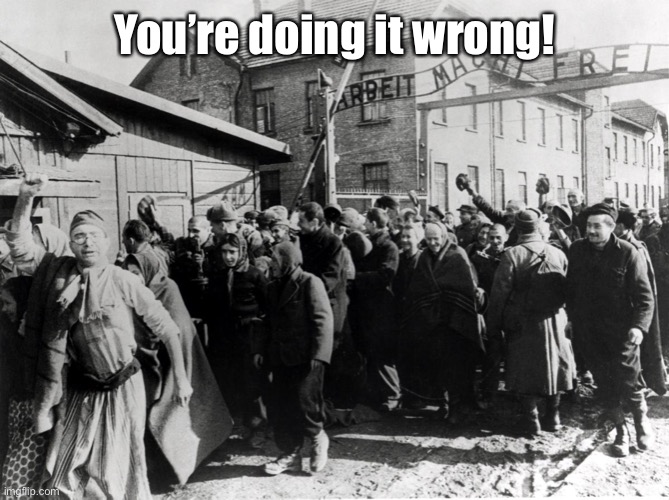 auschwitz | You’re doing it wrong! | image tagged in auschwitz | made w/ Imgflip meme maker