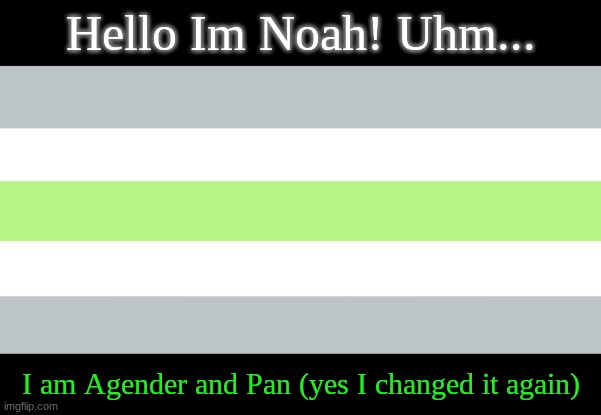I am Agender instead of trans but still like to be called They/Them | Hello Im Noah! Uhm... I am Agender and Pan (yes I changed it again) | image tagged in agender flag | made w/ Imgflip meme maker