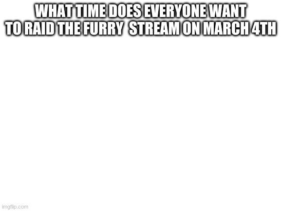 Blank White Template | WHAT TIME DOES EVERYONE WANT TO RAID THE FURRY  STREAM ON MARCH 4TH | image tagged in blank white template | made w/ Imgflip meme maker