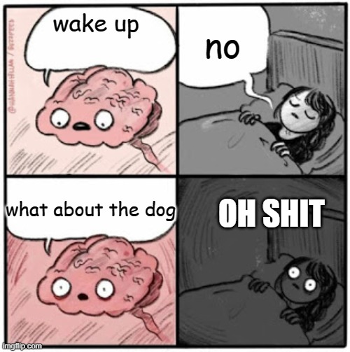 Brain Before Sleep | no; wake up; what about the dog; OH SHIT | image tagged in brain before sleep,fun stream | made w/ Imgflip meme maker