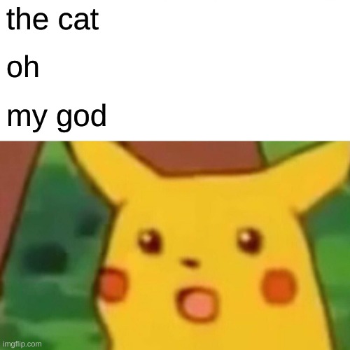 Surprised Pikachu Meme | the cat oh my god | image tagged in memes,surprised pikachu | made w/ Imgflip meme maker