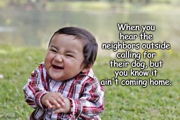 Evil Toddler Meme | When you hear the neighbors outside calling for their dog, but you know it ain't coming home. | image tagged in memes,evil toddler | made w/ Imgflip meme maker