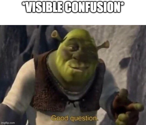 Shrek good question | *VISIBLE CONFUSION* | image tagged in shrek good question | made w/ Imgflip meme maker