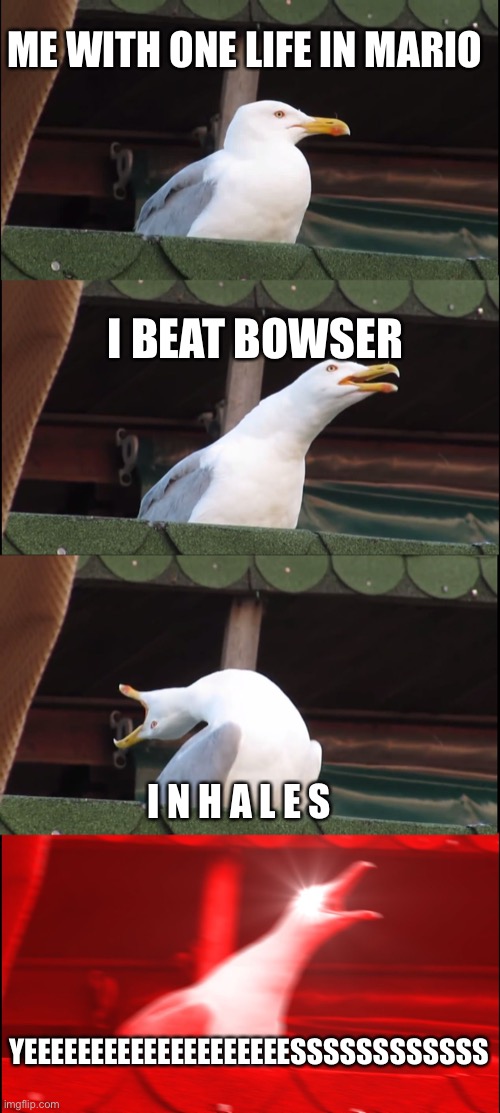 Inhaling Seagull Meme | ME WITH ONE LIFE IN MARIO; I BEAT BOWSER; I N H A L E S; YEEEEEEEEEEEEEEEEEEEESSSSSSSSSSSS | image tagged in memes,inhaling seagull | made w/ Imgflip meme maker