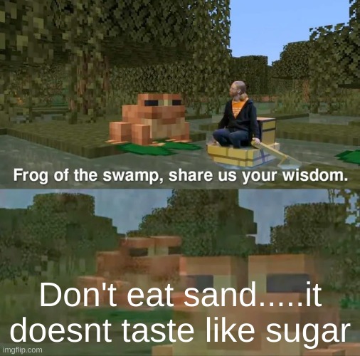 Frog of the swamp, share us your wisdom | Don't eat sand.....it doesnt taste like sugar | image tagged in frog of the swamp share us your wisdom | made w/ Imgflip meme maker