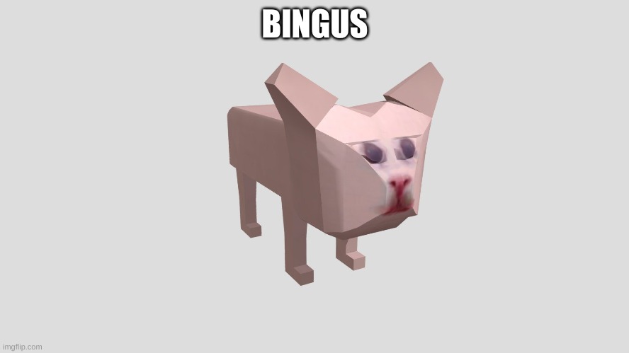 BINGUS | made w/ Imgflip meme maker