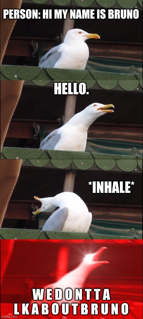 encanto fans be like | PERSON: HI MY NAME IS BRUNO; HELLO. *INHALE*; W E D O N T T A L K A B O U T B R U N O | image tagged in memes,inhaling seagull | made w/ Imgflip meme maker