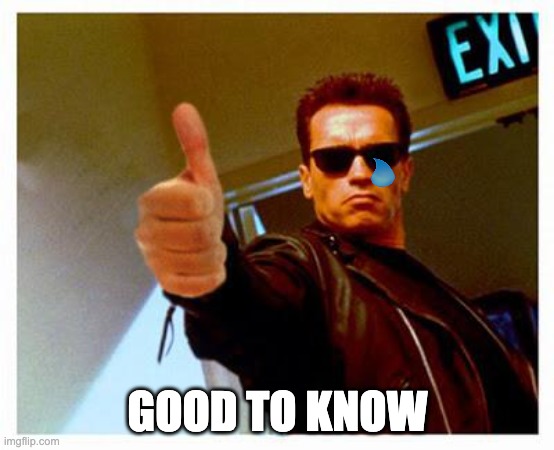 terminator thumbs up | GOOD TO KNOW | image tagged in terminator thumbs up | made w/ Imgflip meme maker