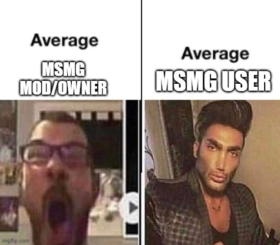 avarage fan | MSMG USER; MSMG MOD/OWNER | image tagged in avarage fan | made w/ Imgflip meme maker