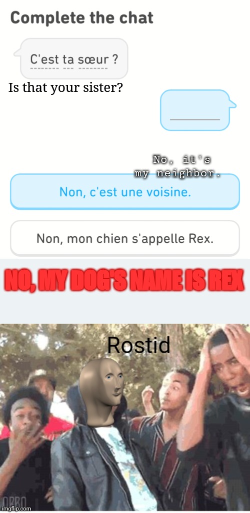 She's my dog, not my sister | Is that your sister? No, it's my neighbor. NO, MY DOG'S NAME IS REX | image tagged in duolingo,meme man rostid,rostid | made w/ Imgflip meme maker