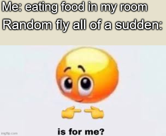 Is for me | Me: eating food in my room; Random fly all of a sudden: | image tagged in is for me | made w/ Imgflip meme maker