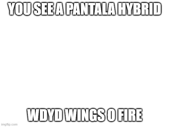 Petal | YOU SEE A PANTALA HYBRID; WDYD WINGS O FIRE | image tagged in blank white template | made w/ Imgflip meme maker