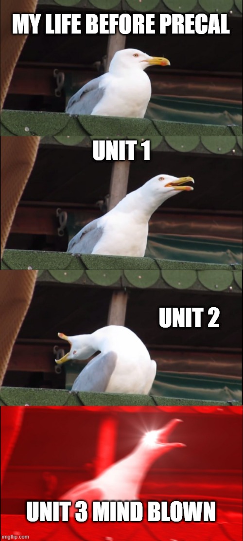 Pre Calculus | MY LIFE BEFORE PRECAL; UNIT 1; UNIT 2; UNIT 3 MIND BLOWN | image tagged in memes,inhaling seagull | made w/ Imgflip meme maker
