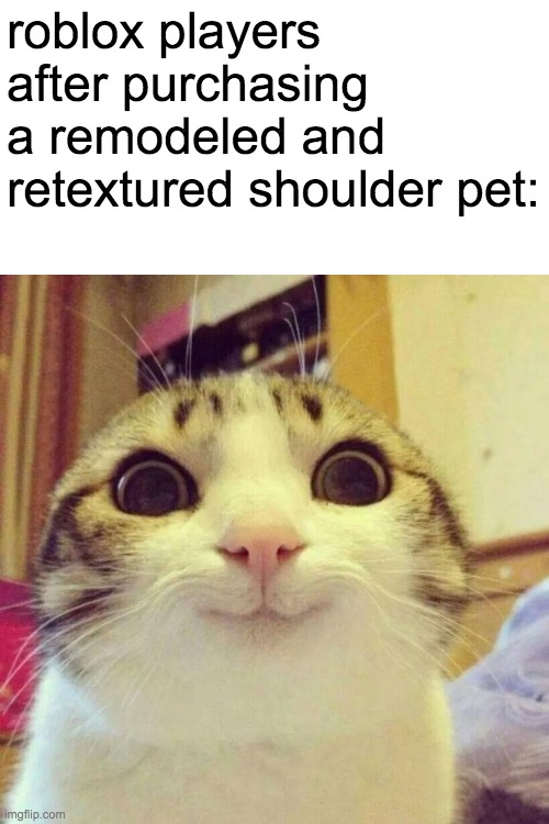 Smiling Cat Meme | roblox players after purchasing a remodeled and retextured shoulder pet: | image tagged in memes,smiling cat | made w/ Imgflip meme maker