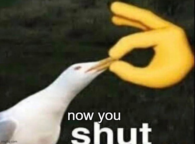 now you shut | now you | image tagged in shut | made w/ Imgflip meme maker