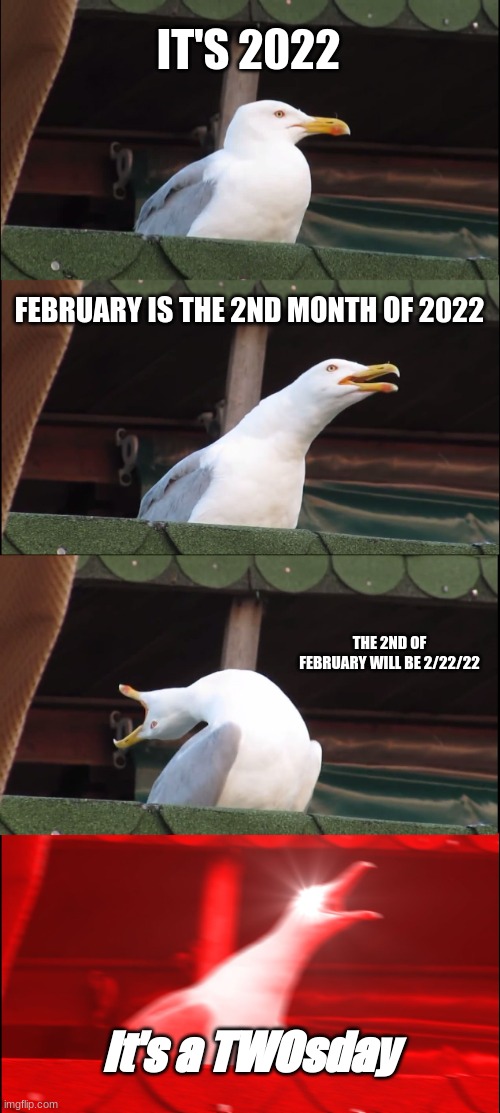 Inhaling Seagull | IT'S 2022; FEBRUARY IS THE 2ND MONTH OF 2022; THE 2ND OF FEBRUARY WILL BE 2/22/22; It's a TWOsday | image tagged in memes,inhaling seagull,oh wow are you actually reading these tags | made w/ Imgflip meme maker