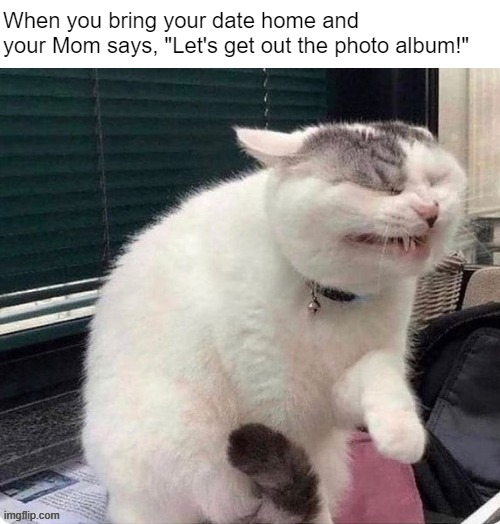 Let's leave it right where it is | When you bring your date home and 
your Mom says, "Let's get out the photo album!" | image tagged in cringe cat | made w/ Imgflip meme maker