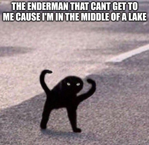 Enderman | THE ENDERMAN THAT CANT GET TO ME CAUSE I'M IN THE MIDDLE OF A LAKE | image tagged in minecraft | made w/ Imgflip meme maker