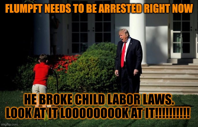 Strumpy BROKE THE LAW JUST LOOK THE PROOF IS RIGHT HERE LOCK HIM UP AND PARDON MY CRACKHEAD MOTHER!!! TTTRRRRUUUUUUUUUUUUUUUUUUU | FLUMPFT NEEDS TO BE ARRESTED RIGHT NOW; HE BROKE CHILD LABOR LAWS. LOOK AT IT LOOOOOOOOK AT IT!!!!!!!!!! | image tagged in trump lawn mower,clumpy,dumpy,law breaker,lock him up,i hate myself and want to die | made w/ Imgflip meme maker