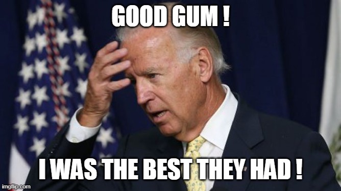 Joe Biden worries | GOOD GUM ! I WAS THE BEST THEY HAD ! | image tagged in joe biden worries | made w/ Imgflip meme maker