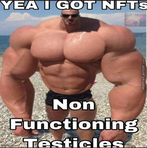 FIRST MEME | image tagged in nfts | made w/ Imgflip meme maker