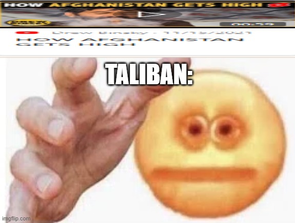 shitpoststatus #21 | TALIBAN: | image tagged in vibe check,high,shitpoststatus,21 | made w/ Imgflip meme maker