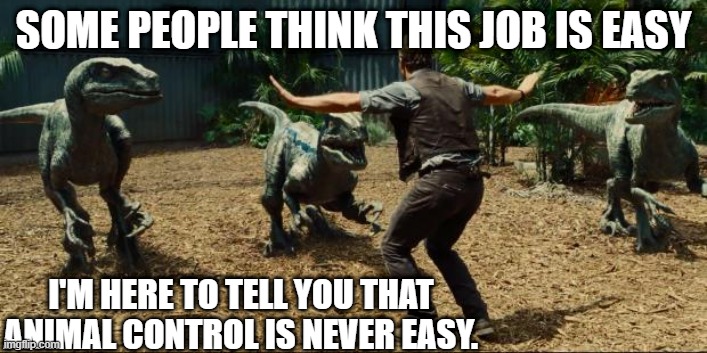 Animal Control | SOME PEOPLE THINK THIS JOB IS EASY; I'M HERE TO TELL YOU THAT ANIMAL CONTROL IS NEVER EASY. | image tagged in jurassic world,animal control,jobs,skills,dangerous,quick | made w/ Imgflip meme maker