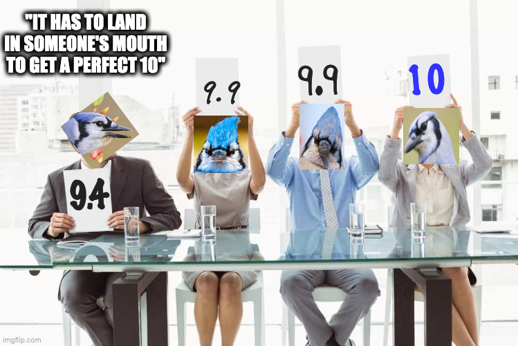 Bird Poop-olympics | "IT HAS TO LAND IN SOMEONE'S MOUTH
TO GET A PERFECT 10"; 9.9; 10; 9.9; 9.4 | image tagged in judges score | made w/ Imgflip meme maker