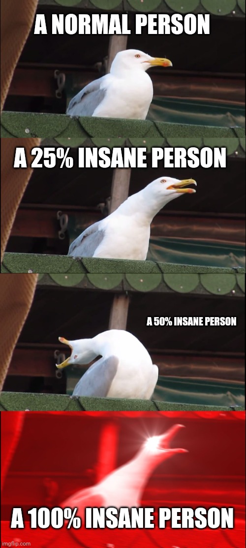 Inhaling Seagull Meme | A NORMAL PERSON; A 25% INSANE PERSON; A 50% INSANE PERSON; A 100% INSANE PERSON | image tagged in memes,inhaling seagull | made w/ Imgflip meme maker