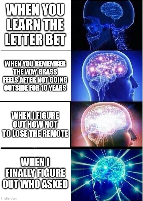 funny | WHEN YOU LEARN THE LETTER BET; WHEN YOU REMEMBER THE WAY GRASS FEELS AFTER NOT GOING OUTSIDE FOR 10 YEARS; WHEN I FIGURE OUT HOW NOT TO LOSE THE REMOTE; WHEN I FINALLY FIGURE OUT WHO ASKED | image tagged in memes,expanding brain | made w/ Imgflip meme maker
