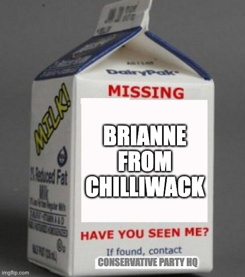 Brianne from Chilliwack | BRIANNE FROM CHILLIWACK; CONSERVATIVE PARTY HQ | image tagged in milk carton | made w/ Imgflip meme maker