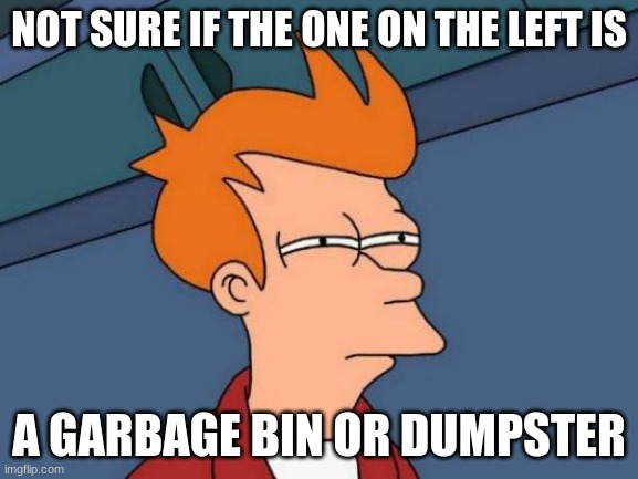 Futurama Fry Meme | NOT SURE IF THE ONE ON THE LEFT IS A GARBAGE BIN OR DUMPSTER | image tagged in memes,futurama fry | made w/ Imgflip meme maker
