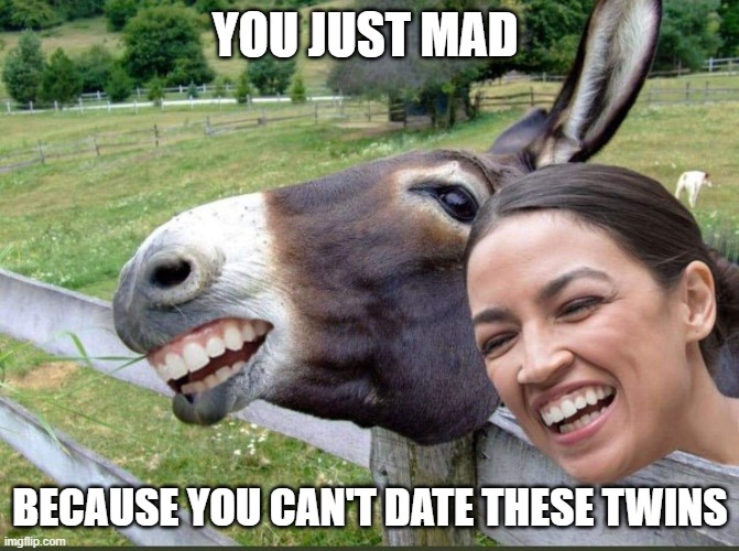 Dating a Jackass | YOU JUST MAD; BECAUSE YOU CAN'T DATE THESE TWINS | image tagged in aoc donkey | made w/ Imgflip meme maker