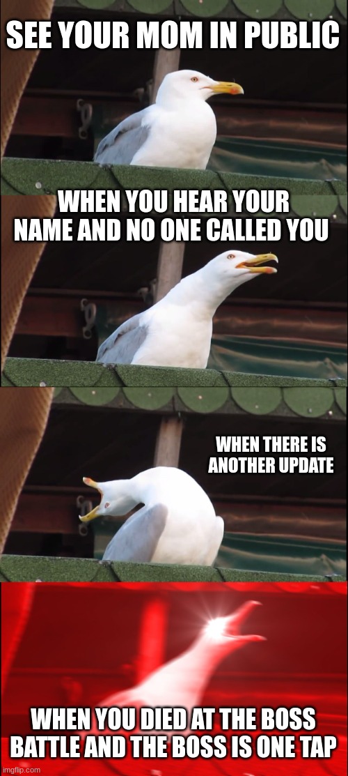 funny | SEE YOUR MOM IN PUBLIC; WHEN YOU HEAR YOUR NAME AND NO ONE CALLED YOU; WHEN THERE IS ANOTHER UPDATE; WHEN YOU DIED AT THE BOSS BATTLE AND THE BOSS IS ONE TAP | image tagged in memes,inhaling seagull | made w/ Imgflip meme maker