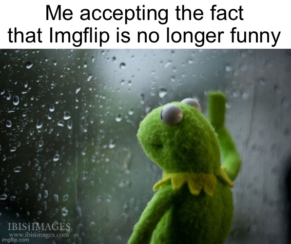 I’m sorry it’s just not | Me accepting the fact that Imgflip is no longer funny | image tagged in kermit window | made w/ Imgflip meme maker