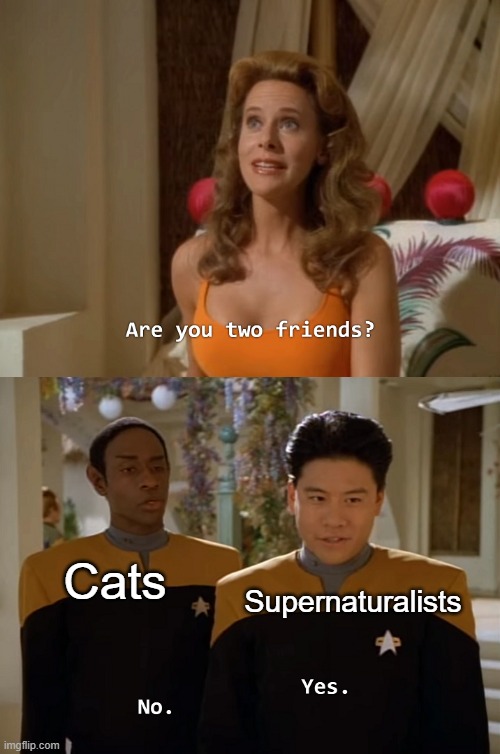 I bet a lot of cats are uninterested in their owners ascribing them supernatural qualities XD No offense to people tho |  Supernaturalists; Cats | image tagged in are you two friends,witch,cat,supernatural,memes,funny | made w/ Imgflip meme maker