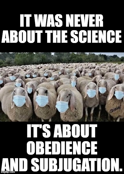 yep | IT WAS NEVER ABOUT THE SCIENCE; IT'S ABOUT OBEDIENCE AND SUBJUGATION. | image tagged in democrats | made w/ Imgflip meme maker