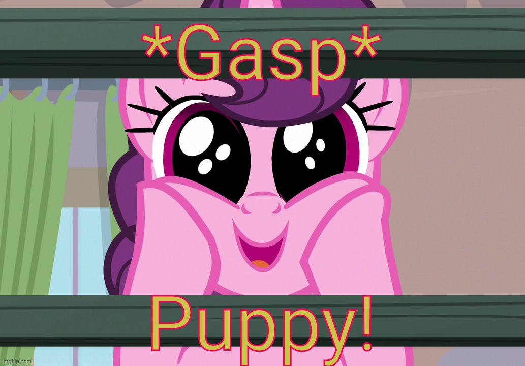 Surprised Sugar Belle (MLP) | *Gasp* Puppy! | image tagged in surprised sugar belle mlp | made w/ Imgflip meme maker