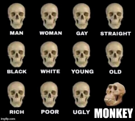monkey | MONKEY | image tagged in idiot skull | made w/ Imgflip meme maker