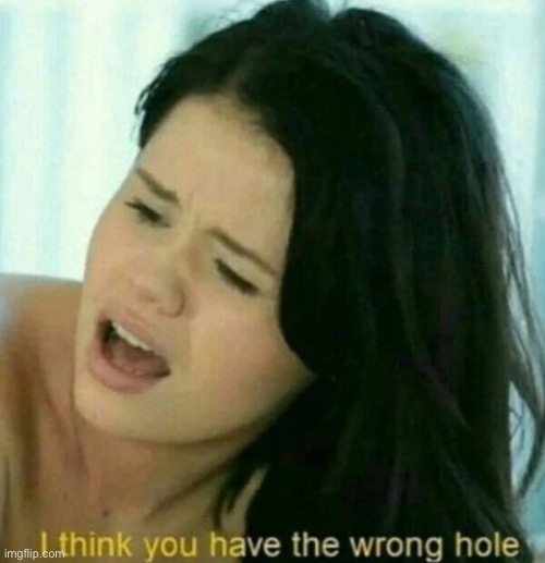 Manhole | image tagged in i think you have the wrong hole | made w/ Imgflip meme maker