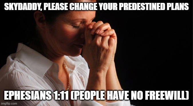 SKYDADDY, PLEASE CHANGE YOUR PREDESTINED PLANS; EPHESIANS 1:11 (PEOPLE HAVE NO FREEWILL) | image tagged in religion,god | made w/ Imgflip meme maker