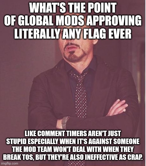 Name one global time that actually stopped someone's behavior | WHAT'S THE POINT OF GLOBAL MODS APPROVING LITERALLY ANY FLAG EVER; LIKE COMMENT TIMERS AREN'T JUST STUPID ESPECIALLY WHEN IT'S AGAINST SOMEONE THE MOD TEAM WON'T DEAL WITH WHEN THEY BREAK TOS, BUT THEY'RE ALSO INEFFECTIVE AS CRAP. | image tagged in memes,face you make robert downey jr | made w/ Imgflip meme maker