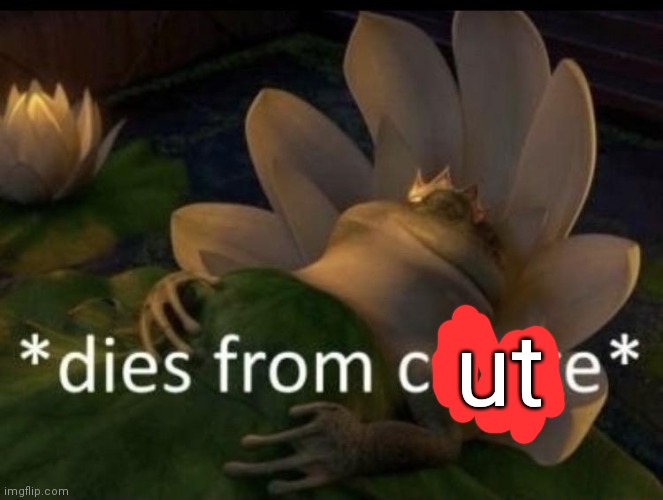 Dies from cringe | ut | image tagged in dies from cringe | made w/ Imgflip meme maker