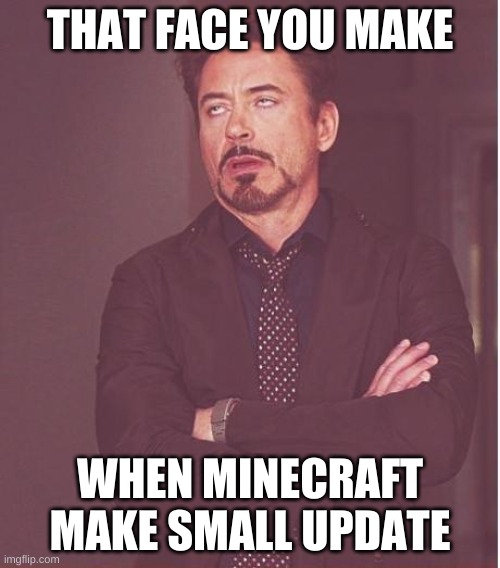 Face You Make Robert Downey Jr Meme | THAT FACE YOU MAKE; WHEN MINECRAFT MAKE SMALL UPDATE | image tagged in memes,face you make robert downey jr | made w/ Imgflip meme maker