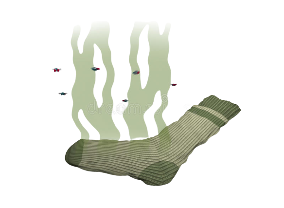 Stinky sock Blank Meme Template