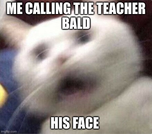ME CALLING THE TEACHER
BALD; HIS FACE | image tagged in bald eagle,teacher,lol,memes | made w/ Imgflip meme maker