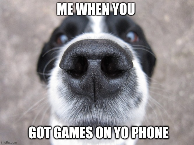 Dog | ME WHEN YOU; GOT GAMES ON YO PHONE | image tagged in dog | made w/ Imgflip meme maker
