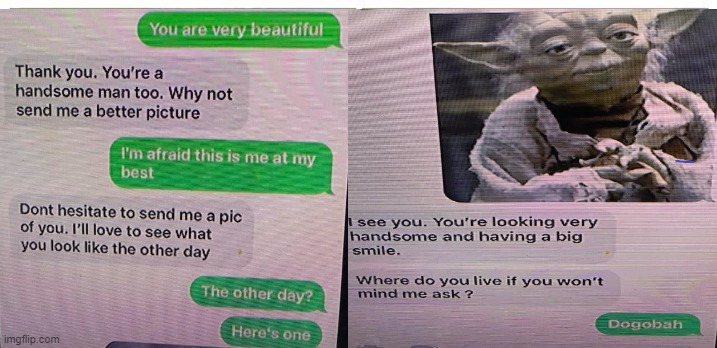 Could be Catfish | image tagged in catfish,relationships,humor,online dating | made w/ Imgflip meme maker