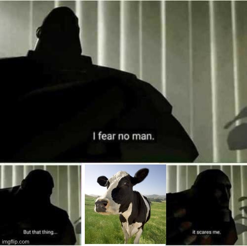 Fear this | image tagged in i fear no man,cow | made w/ Imgflip meme maker